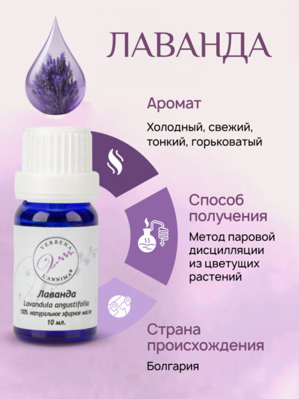 эфирное масло Лаванды аромат, способ плучения, страна происхождения