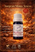 Купить натуральную смесь эфирных масел Энергия Мощь Земли Verbena L'annima