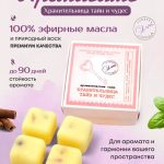 Купить натуральное аромасаше Хранительница Тайн и чудес из соевого воска Verbena L'annima с эфирными маслами